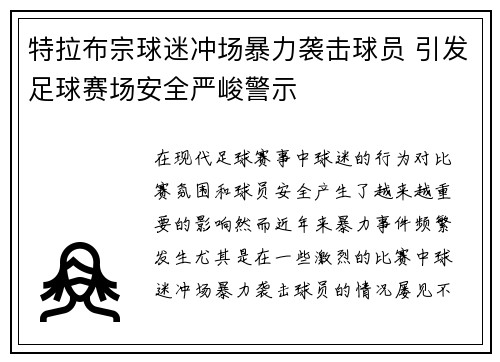特拉布宗球迷冲场暴力袭击球员 引发足球赛场安全严峻警示